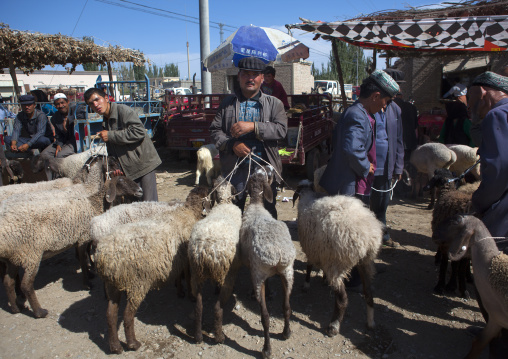 Sheeps For Sale In Serik Buya Market, Yarkand, Xinjiang Uyghur Autonomous Region, China