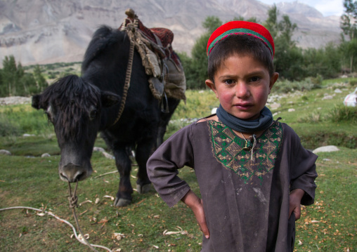 Wakhi boy in front of a yak, Badakhshan province, Wuzed, Afghanistan