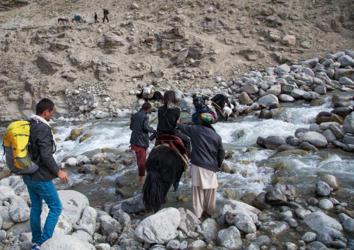 Treck in the pamir mountains with yaks, Big pamir, Wakhan, Afghanistan