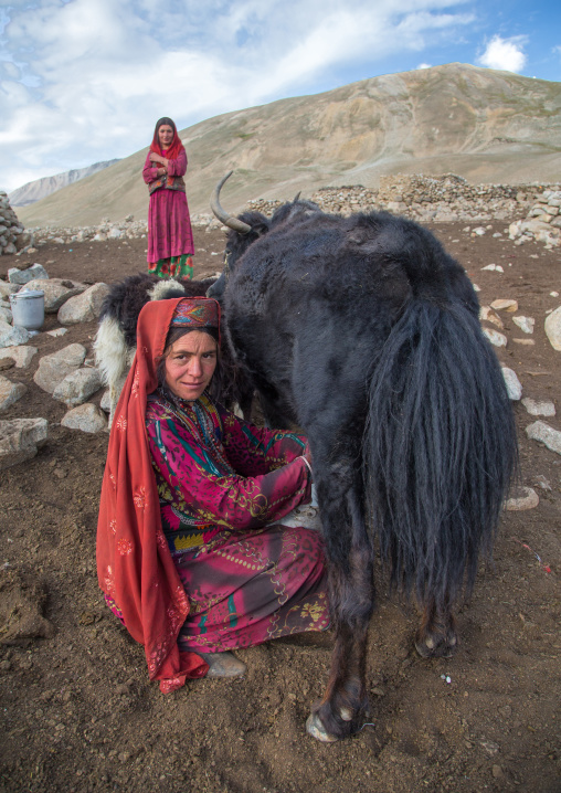 Wakhi nomad women milking yaks, Big pamir, Wakhan, Afghanistan