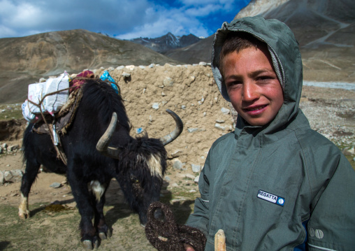 Wakhi nomad boy with a yak, Big pamir, Wakhan, Afghanistan