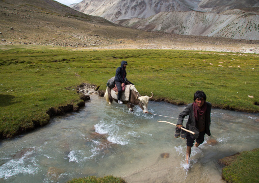 Tourist riding a yak crossing a river during a treck, Big pamir, Wakhan, Afghanistan