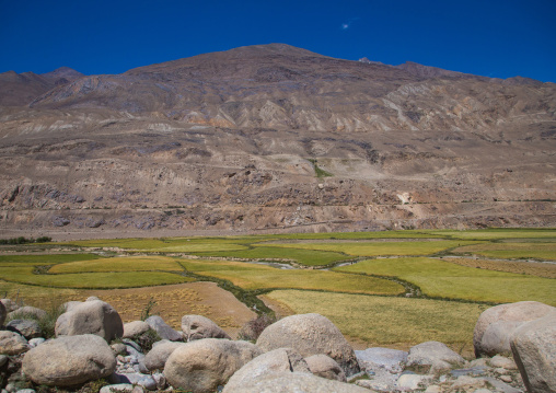 Farm fields in front of a mountain, Badakhshan province, Khandood, Afghanistan