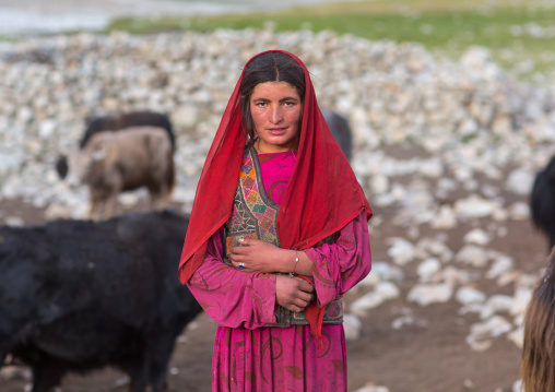 Wakhi nomad woman with her yaks, Big pamir, Wakhan, Afghanistan