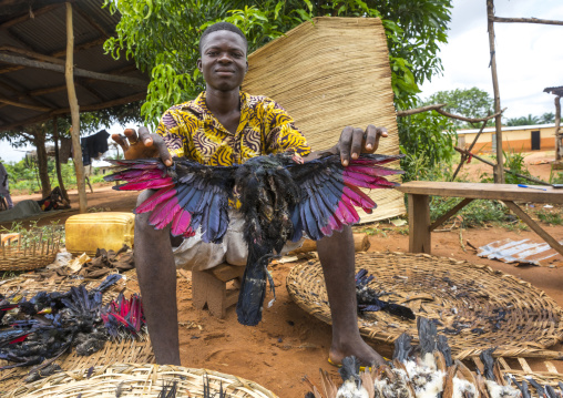 Benin, West Africa, Bonhicon, man selling dead colorful birds on a voodoo market