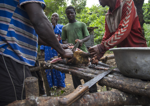 Benin, West Africa, Dankoly, men cutting a sacrified goat after a voodoo ceremony