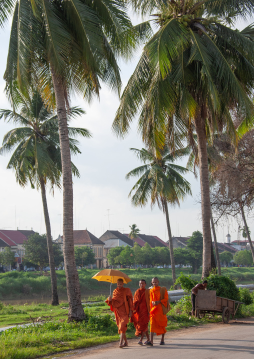 Cambodian monks walking in the street with umbrellas, Battambang province, Battambang, Cambodia