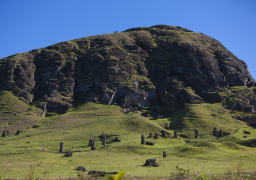 Moais In Rano Raraku, Easter Island, Chile