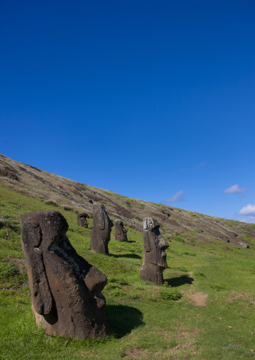 Moais In Rano Raraku, Easter Island, Chile