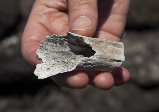Old Human Bone, Easter Islan, Chile