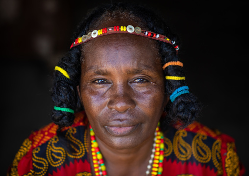 Portrait of a Kunama tribe woman with traditional hairstyle, Gash-Barka, Barentu, Eritrea