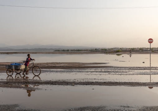 Eritrean boy carrying fish on a bicycle, Northern Red Sea, Massawa, Eritrea
