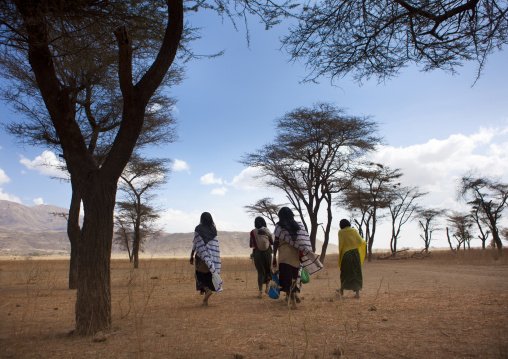 Karrayyu Tribe Women Carrying A Baby And Bags Under The Trees On Their Way To The Gadaaa Ceremony, Metahara, Ethiopia