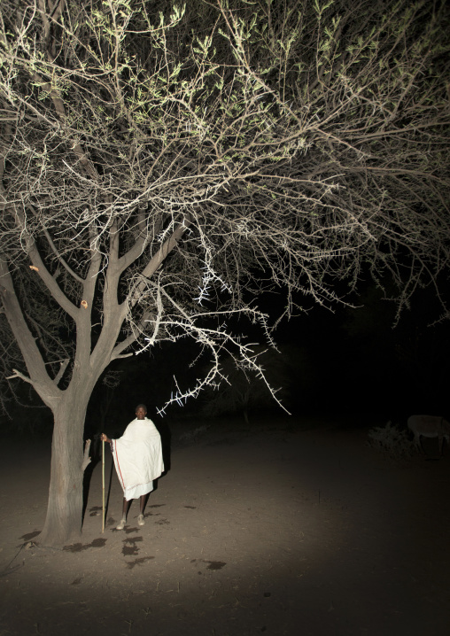 Night Shot Of A Karrayyu Tribe Man Standing Near A Tree During Gadaaa Ceremony, Metahara, Ethiopia