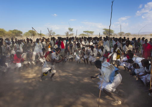 Karrayyu Tribe Men During Choreographed Stick Fighting Dance During Gadaaa Ceremony, Metahara, Ethiopia