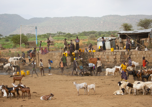 People and goats drinking in a well, Omo valley, Ethiopia