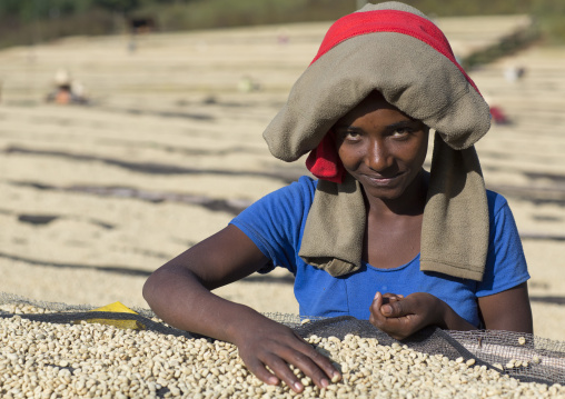 Worker In Front Of White Coffee Beans Drying In The Sun In A Fair Trade Coffee Farm, Jimma, Ethiopia