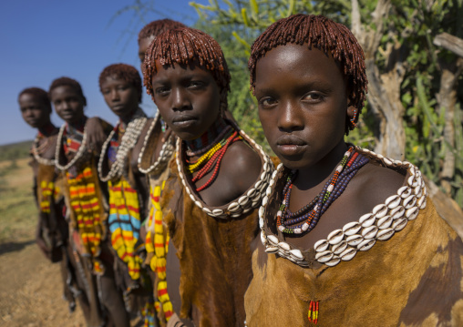 Girls Of The Hamer Tribe, In Traditional Outfit, Turmi, Ethiopia