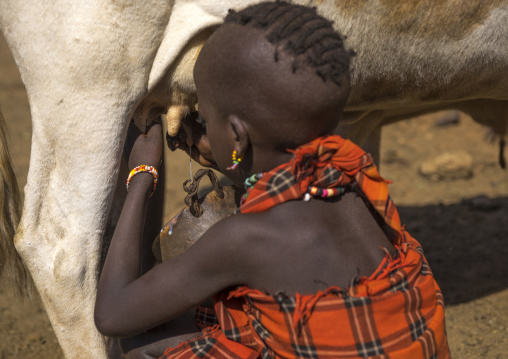 Boy Of The Hamer Tribe Milking A Cow, Turmi, Omo Valley, Ethiopia