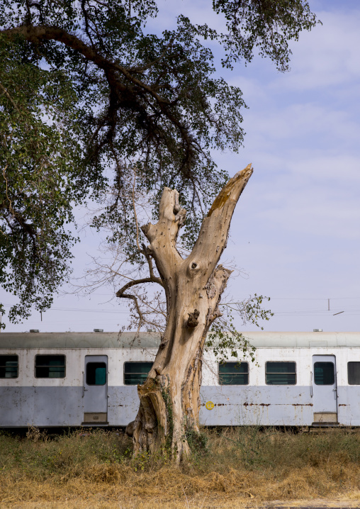 Old Rusty Train In The Railway Station, Dire Dawa, Ethiopia