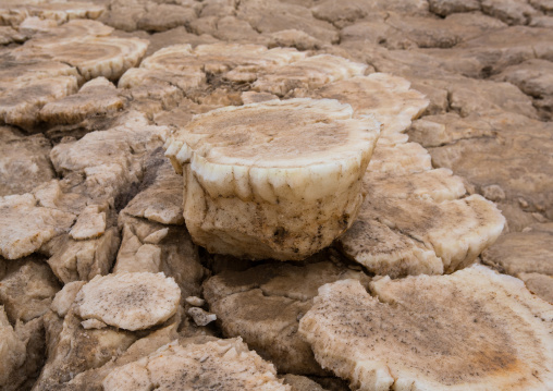 Volcanic formations of dallol in the danakil depression, Afar region, Dallol, Ethiopia