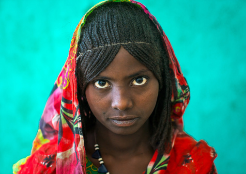 Portrait of an afar tribe girl with braided hair, Afar region, Semera, Ethiopia