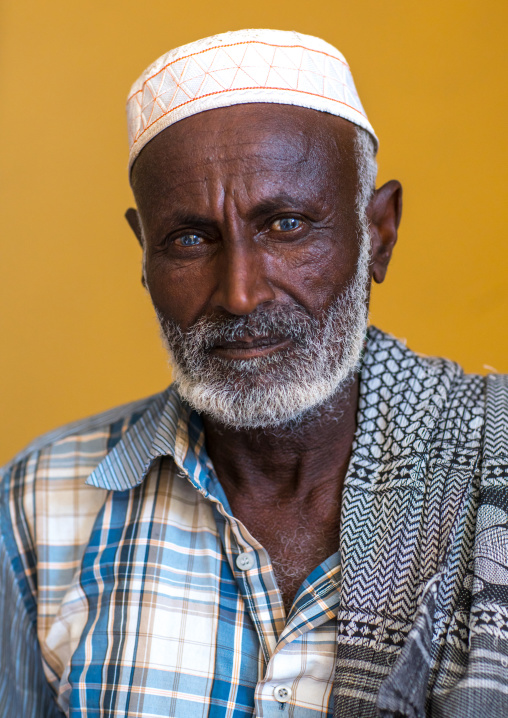 Portrait of an afar tribe elder, Afar region, Semera, Ethiopia