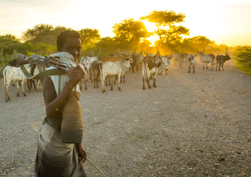 Afar tribe herder with a kalshnikov looking for his cows, Afar region, Afambo, Ethiopia