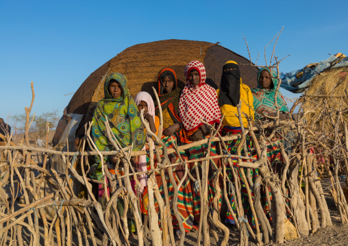 Afar tribe women behind a wooden fence in front of their hut, Afar region, Mile, Ethiopia
