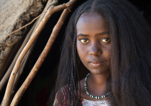 Portrait of an Afar tribe girl with braided hair, Afar region, Afambo, Ethiopia