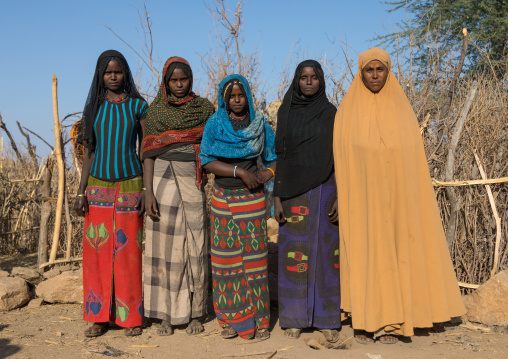 Portrait of Afar tribe women, Afar region, Chifra, Ethiopia