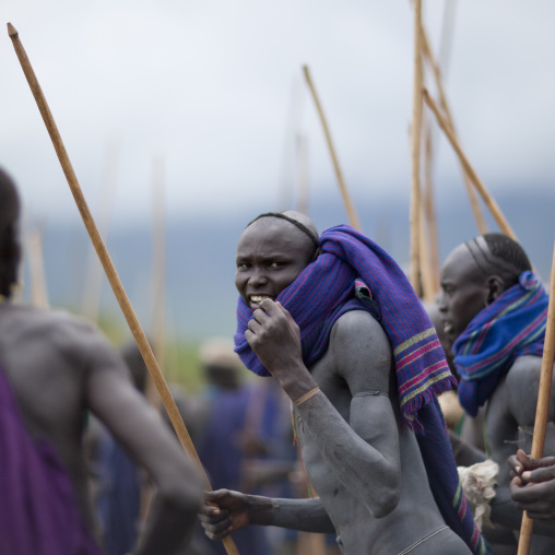 Suri tribe warriors fighting during a donga stick ritual, Omo valley, Tulgit, Ethiopia