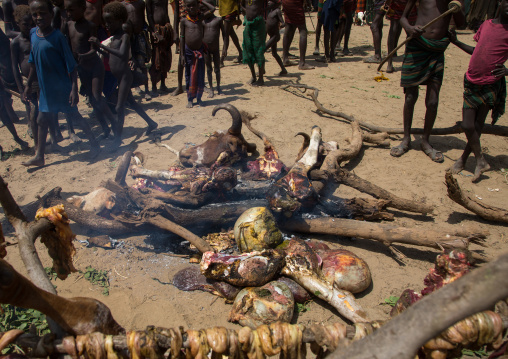 Tribe people cooking a cowduring the proud ox ceremony in the Dassanech tribe, Turkana County, Omorate, Ethiopia