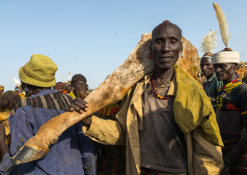 Old man carrying a big piece of cow meat during the proud ox ceremony in Dassanech tribe, Turkana County, Omorate, Ethiopia