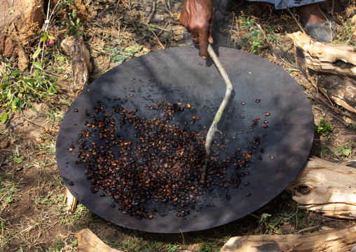 Coffee beans being roasted, Harari Region, Harar, Ethiopia