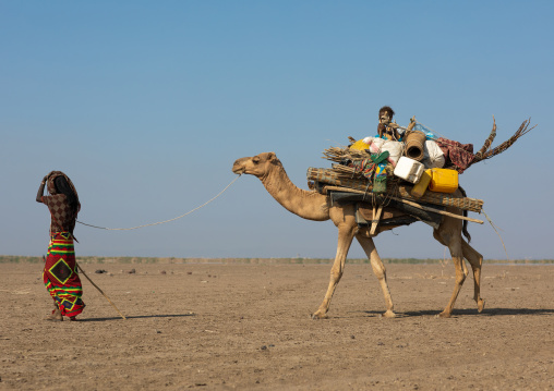 Afar people leading a camel caravan, Afar region, Semera, Ethiopia