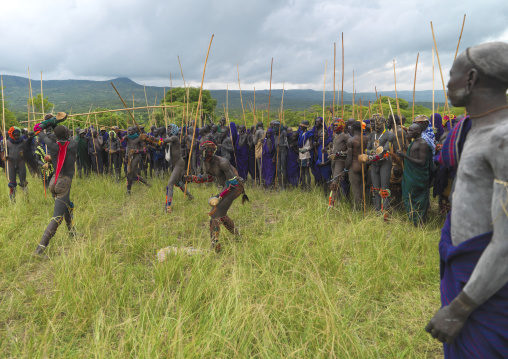 Suri tribe warriors fighting during a donga stick ritual, Omo valley, Tulgit, Ethiopia