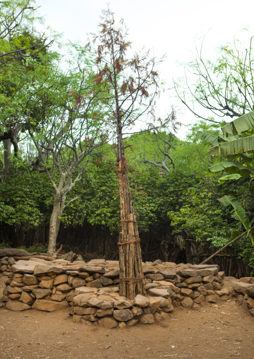 Generation Pole, Konso Tribe, Omo Valley, Ethiopia