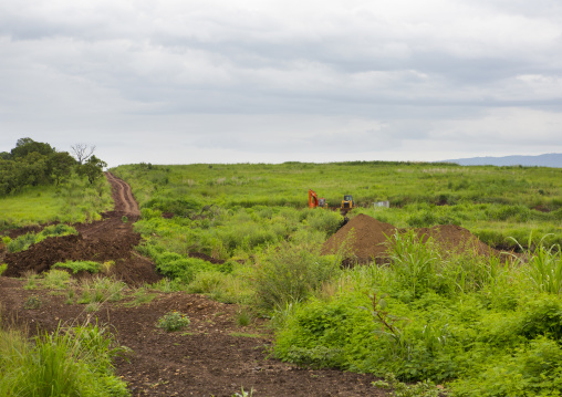 Plantation, Koka, Omo valley, Ethiopia