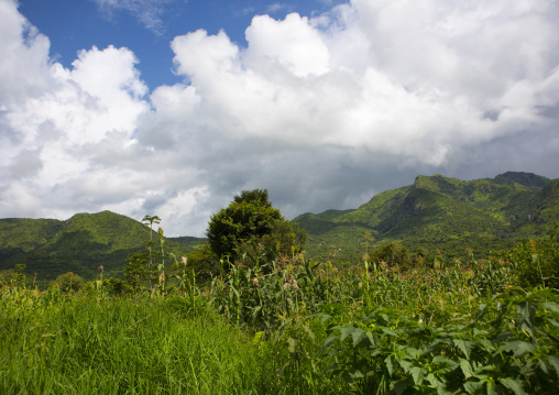 Landscape, Tulgit, Omo valley, Ethiopia