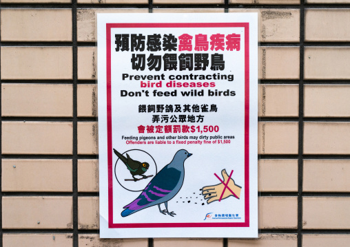 Warning sign to tell people not to feed pigeons, Special Administrative Region of the People's Republic of China , Hong Kong, China