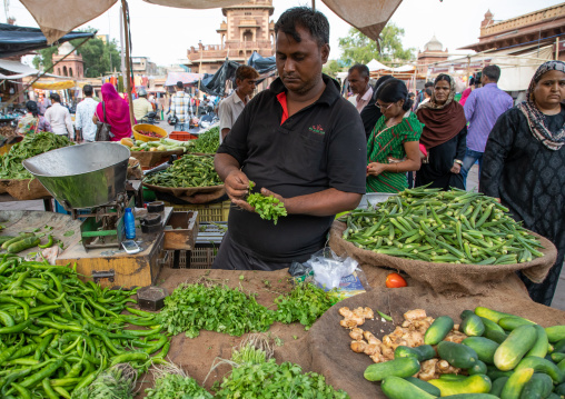 Indian man selling vegetables in a market, Rajasthan, Jodhpur, India