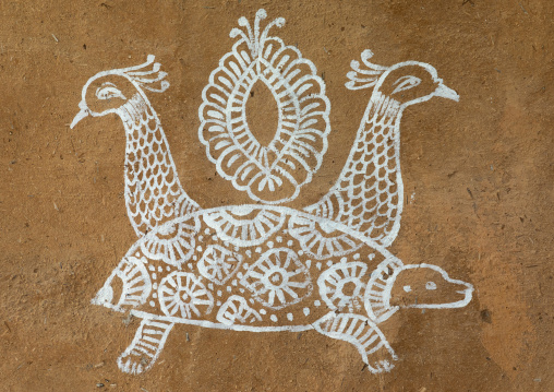 Murals depicting peacocks and a turtle, Rajasthan, Jodhpur, India