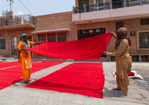 Indian women drying red saris in the street, Rajasthan, Jodhpur, India
