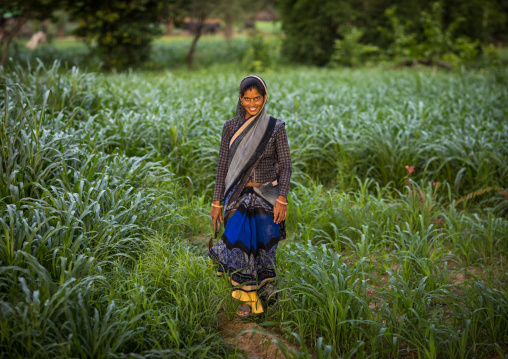 Portrait of a rajasthani woman in traditional sari in a field, Rajasthan, Baswa, India