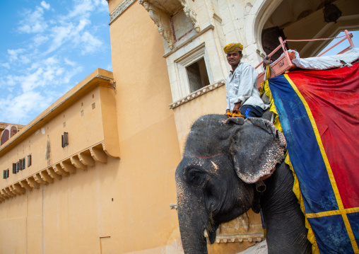 Elephant ride in Amer fort and palace, Rajasthan, Amer, India