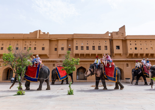 Elephant ride for tourists in Amer fort and palace, Rajasthan, Amer, India