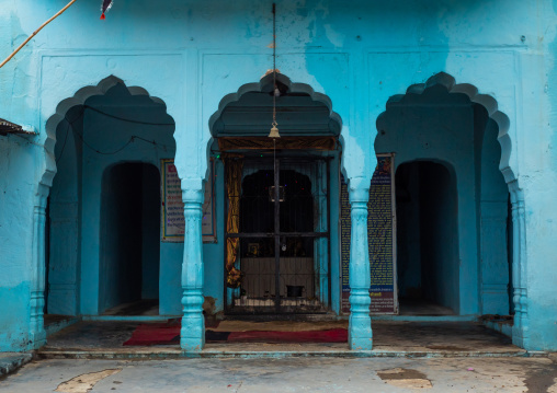 Old blue house of a brahmin, Rajasthan, Nawalgarh, India
