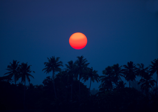 Stunning Sunset Above Palm Trees With A Clear Sky, On Alleppey Beach, India
