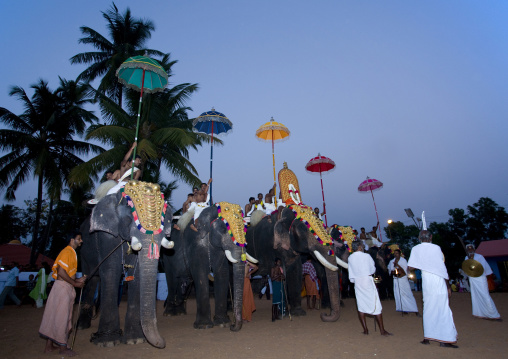 Row Of Decorated Elephants Ridden By Priests Holding Colorful Parasol During Jagannath Temple Festival, Thalassery, India